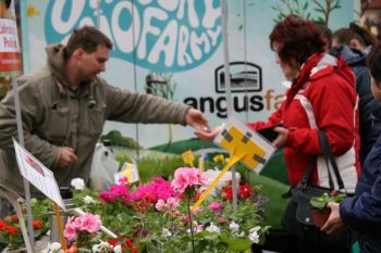 Plzeňské farmářské trhy ve znamení bylinek a sazenic
