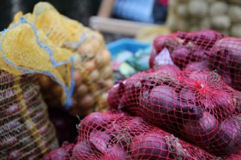 Podzim na Plzeňských farmářských trzích