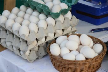 Změny na poslední chvíli... Změny na poslední chvíli...