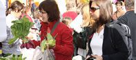 Plzeňské farmářské trhy jsou za dveřmi