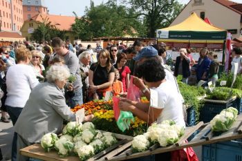 Jak dopadly první farmářské trhy v Plzni?