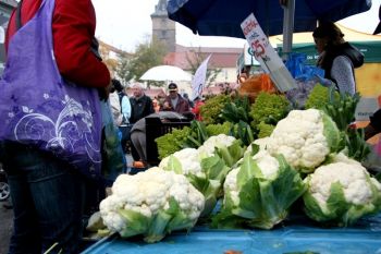 Plzeňské farmářské trhy prodlužují termíny konání