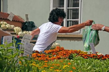 Plzeňské farmářské trhy provoní první jarní zelenina